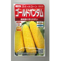 送料無料　[とうもろこし]　ゴールドバンタム　20ml(約50粒)　（株）サカタのタネ 実咲350（104070）