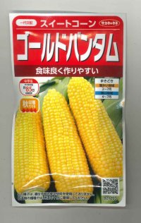 送料無料　[とうもろこし]　ゴールドバンタム　20ml(約50粒)　（株）サカタのタネ 実咲350（104070）