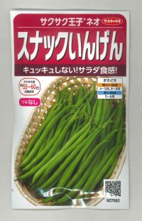 送料無料　[いんげん]　つるなしいんげん　サクサク王子ネオ　20ml(約55粒)　（株）サカタのタネ　実咲350（003735）