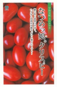 送料無料　[トマト/ミニトマト]　ミニトマト　なつめっ娘クリスピー　10粒　丸種（株）