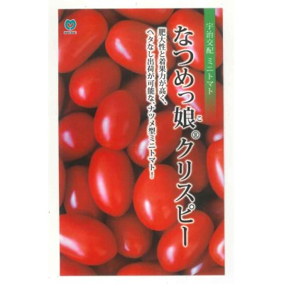 画像1: 送料無料　[トマト/ミニトマト]　ミニトマト　なつめっ娘クリスピー　10粒　丸種（株）