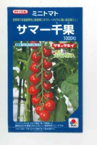 送料無料　[トマト/ミニトマト]　サマー千果　1000粒　タキイ種苗(株)