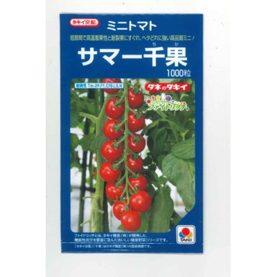 画像1: 送料無料　[トマト/ミニトマト]　サマー千果　1000粒　タキイ種苗(株)