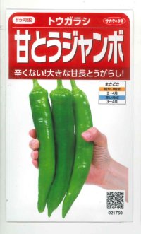 送料無料　[トウガラシ]　甘とうジャンボ　　0.5ml（約25粒）　（株）サカタのタネ　実咲450（003729）