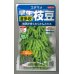 画像1: 送料無料　[枝豆]　早生超多収枝豆　30ml（約60粒）（株）サカタのタネ実咲350（107806） (1)