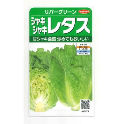 画像1: 送料無料　[レタス]　リバーグリーン　0.7ml（約200粒）（株）サカタのタネ　実咲350