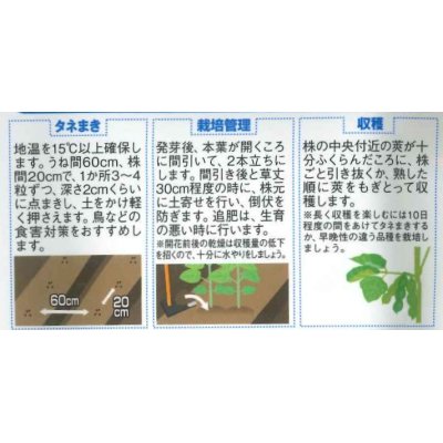 画像2: 送料無料　[枝豆]　早生超多収枝豆　30ml（約60粒）（株）サカタのタネ実咲350（107806）