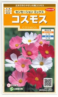 送料無料　花の種　コスモス　センセーションミックス　約90粒　（株）サカタのタネ　実咲200（026328）