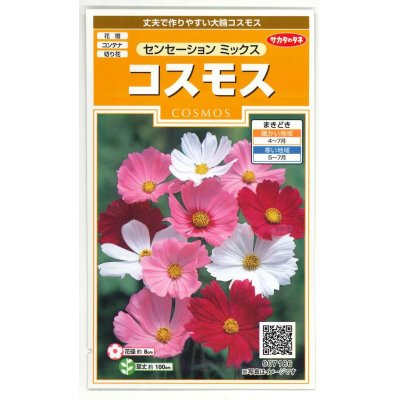 画像1: 送料無料　花の種　コスモス　センセーションミックス　約90粒　（株）サカタのタネ　実咲200（026328）