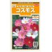 画像1: 送料無料　花の種　コスモス　センセーションミックス　約90粒　（株）サカタのタネ　実咲200（026328） (1)