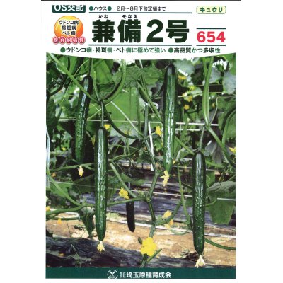 画像2: 送料無料　[キュウリ]　兼備2号　350粒　（株）埼玉原種育成会