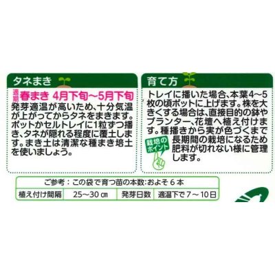 画像2: 送料無料　花の種　とうがらし（観賞用）オニキスレッド　10粒　タキイ種苗（株）NL400