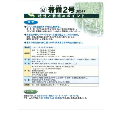 画像3: 送料無料　[キュウリ]　兼備2号　350粒　（株）埼玉原種育成会