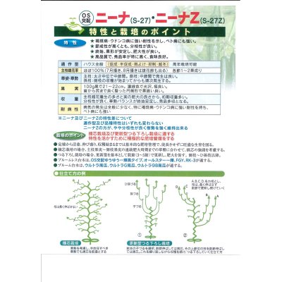 画像3: 送料無料　[キュウリ]　ニーナZ　350粒　（株）埼玉原種育成会