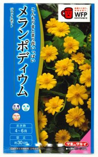 送料無料　花の種　メランポディウム　ジャックポット　約30粒  タキイ種苗（株）　NL300　