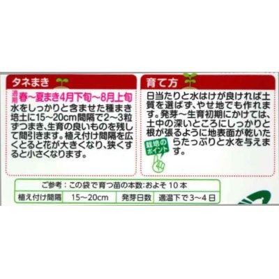 画像2: 送料無料　花の種　ひまわり　F1サンリッチマロンLD　3ml   タキイ種苗（株）　NL300　