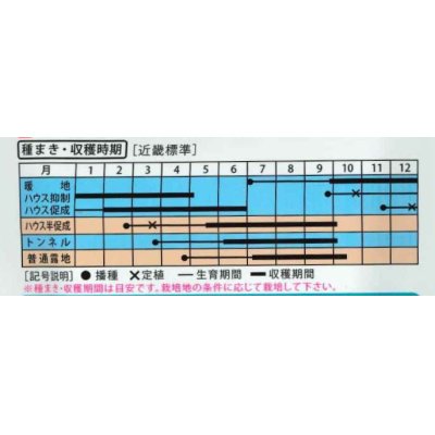 画像4: 送料無料　[オクラ]　ストロンググリーン　20ml（約220粒)（株）大和農園