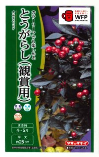 送料無料　花の種　とうがらし（観賞用）オニキスレッド　10粒　タキイ種苗（株）NL400