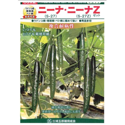 画像2: 送料無料　[キュウリ]　ニーナZ　350粒　（株）埼玉原種育成会