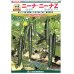 画像2: 送料無料　[キュウリ]　ニーナZ　350粒　（株）埼玉原種育成会 (2)