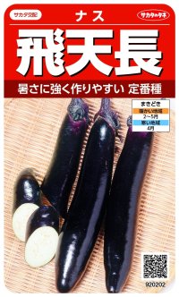 送料無料　[なす]　飛天長　約60粒　(株)サカタのタネ　実咲550（002833）