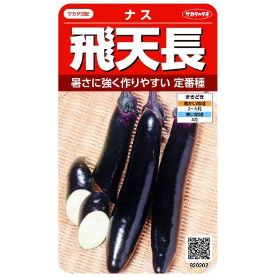 画像1: 送料無料　[なす]　飛天長　約60粒　(株)サカタのタネ　実咲550（002833）