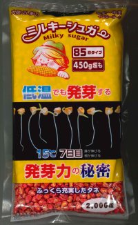 送料無料　[とうもろこし]　ミルキーシュガー85　2000粒　トキタ種苗(株)