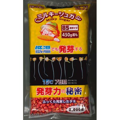 画像1: 送料無料　[とうもろこし]　ミルキーシュガー85　2000粒　トキタ種苗(株)