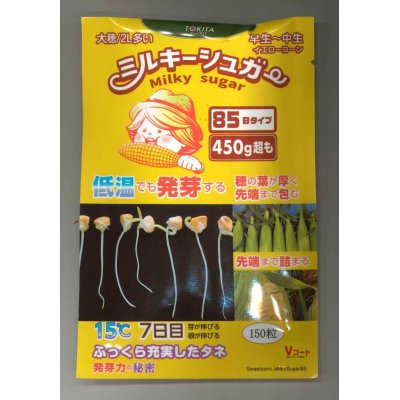 画像1: 送料無料　[とうもろこし]　ミルキーシュガー85　150粒　トキタ種苗(株)