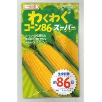 送料無料　[とうもろこし]　わくわくコーン86スーパー　100粒　カネコ交配