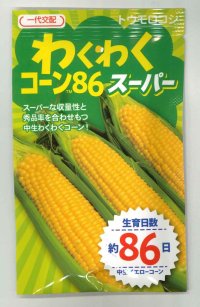 送料無料　[とうもろこし]　わくわくコーン86スーパー　100粒　カネコ交配