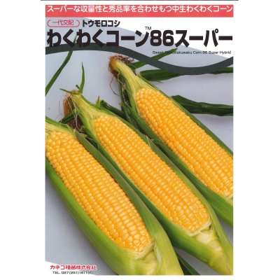 画像2: 送料無料　[とうもろこし]　わくわくコーン86スーパー　2000粒　カネコ交配