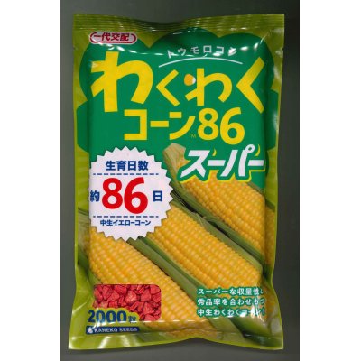 画像1: 送料無料　[とうもろこし]　わくわくコーン86スーパー　2000粒　カネコ交配