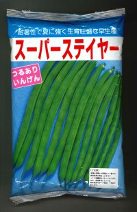 [いんげん]　スーパーステイヤー　1L（10％増量）ヴィルモランみかど