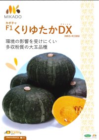 送料無料　[かぼちゃ]　くりゆたかDX　8粒　ヴィルモランみかど