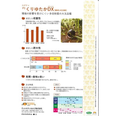 画像2: 送料無料　[かぼちゃ]　くりゆたかDX　500粒　ヴィルモランみかど