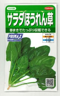 [ほうれんそう]　サラダほうれんそう（トリトン）　約900粒（株）サカタのタネ　実咲350（003732）