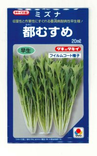 送料無料　[葉物]　水菜　都むすめ　20ml　タキイ種苗(株)　