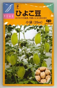 送料無料　[豆類]　ひよこ豆　小袋（35ml）　中原採種場