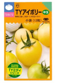 送料無料　[トマト/ミニトマト]　TYアイボリー　12粒　中原採種場（株）