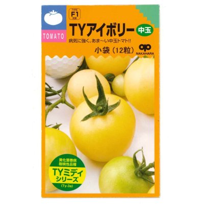 画像1: 送料無料　[トマト/ミニトマト]　TYアイボリー　12粒　中原採種場（株）