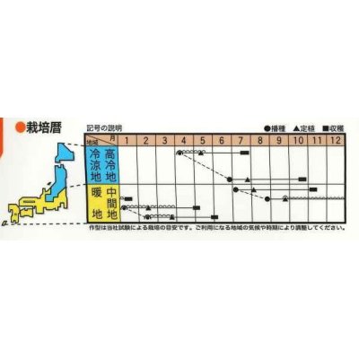 画像3: 送料無料　[イタリア野菜]　カリフローレミスタ　40粒（各20粒）　トキタ種苗(株)