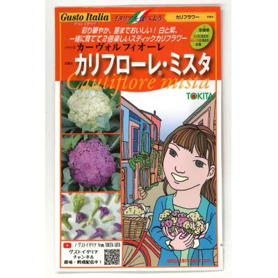 画像1: 送料無料　[イタリア野菜]　カリフローレミスタ　40粒（各20粒）　トキタ種苗(株)