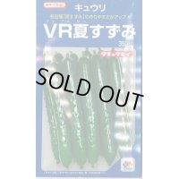 送料無料　[キュウリ]　ＶＲ夏すずみ　350粒　タキイ種苗(株)