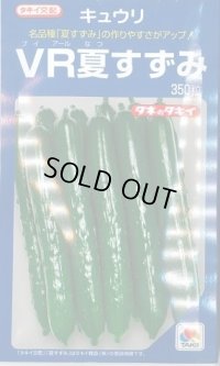 送料無料　[キュウリ]　ＶＲ夏すずみ　350粒　タキイ種苗(株)