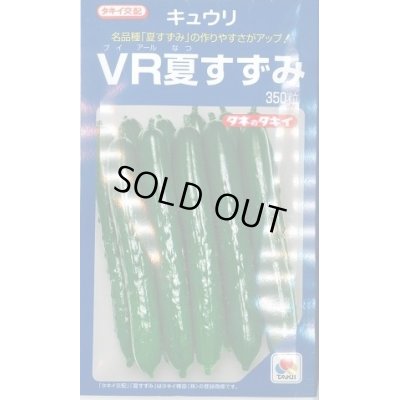 画像1: 送料無料　[キュウリ]　ＶＲ夏すずみ　350粒　タキイ種苗(株)