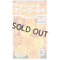 送料無料　花の種　マリーゴールド　ボナンザミックス　約43粒　(株)サカタのタネ　実咲200（026360）