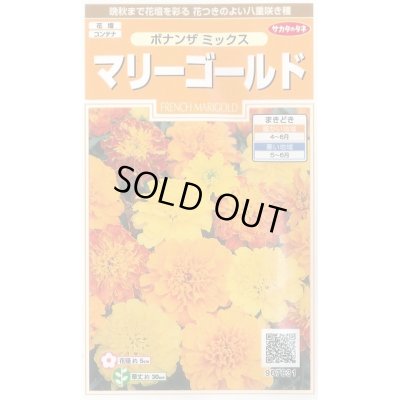 画像1: 送料無料　花の種　マリーゴールド　ボナンザミックス　約43粒　(株)サカタのタネ　実咲200（026360）