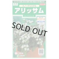 送料無料　花の種　アリッサム　スノークリスタル　約43粒　　(株)サカタのタネ　実咲250（026216）