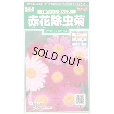 画像1: 送料無料　花の種　赤花除虫菊　ロビンソンミックス　約125粒　　(株)サカタのタネ　実咲250（026247）